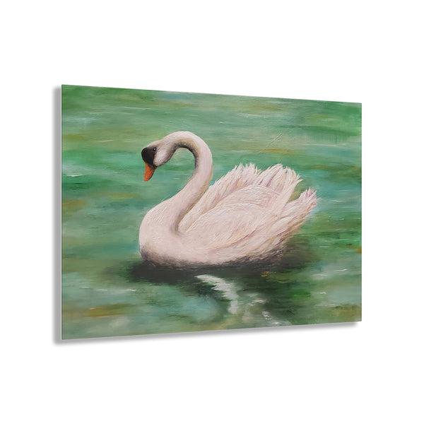 Majestic Swan Acrylic Painting Acrylic Print