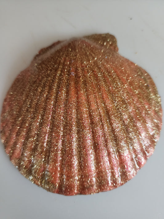 Seahorse in a Bottle Scalloped Shell