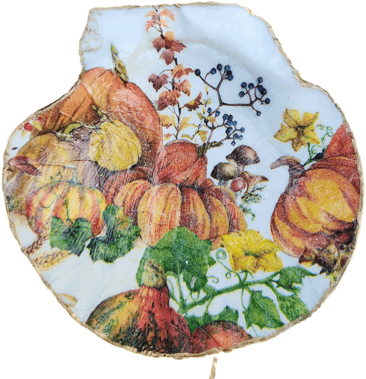 Harvest Scalloped Shell