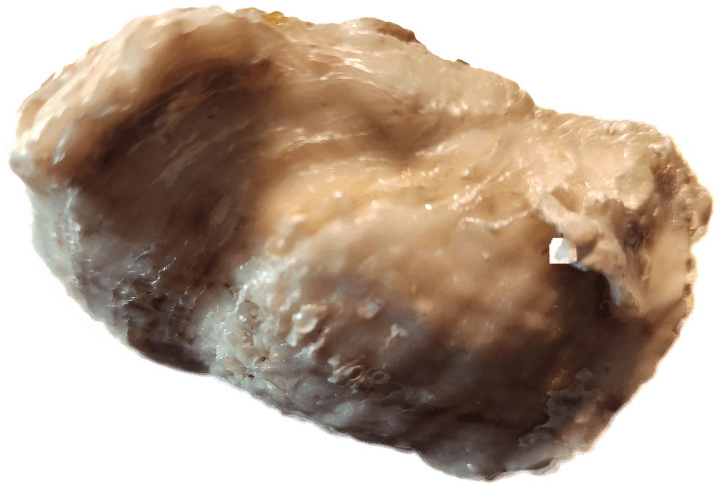 Floral Oyster Shell Trinket