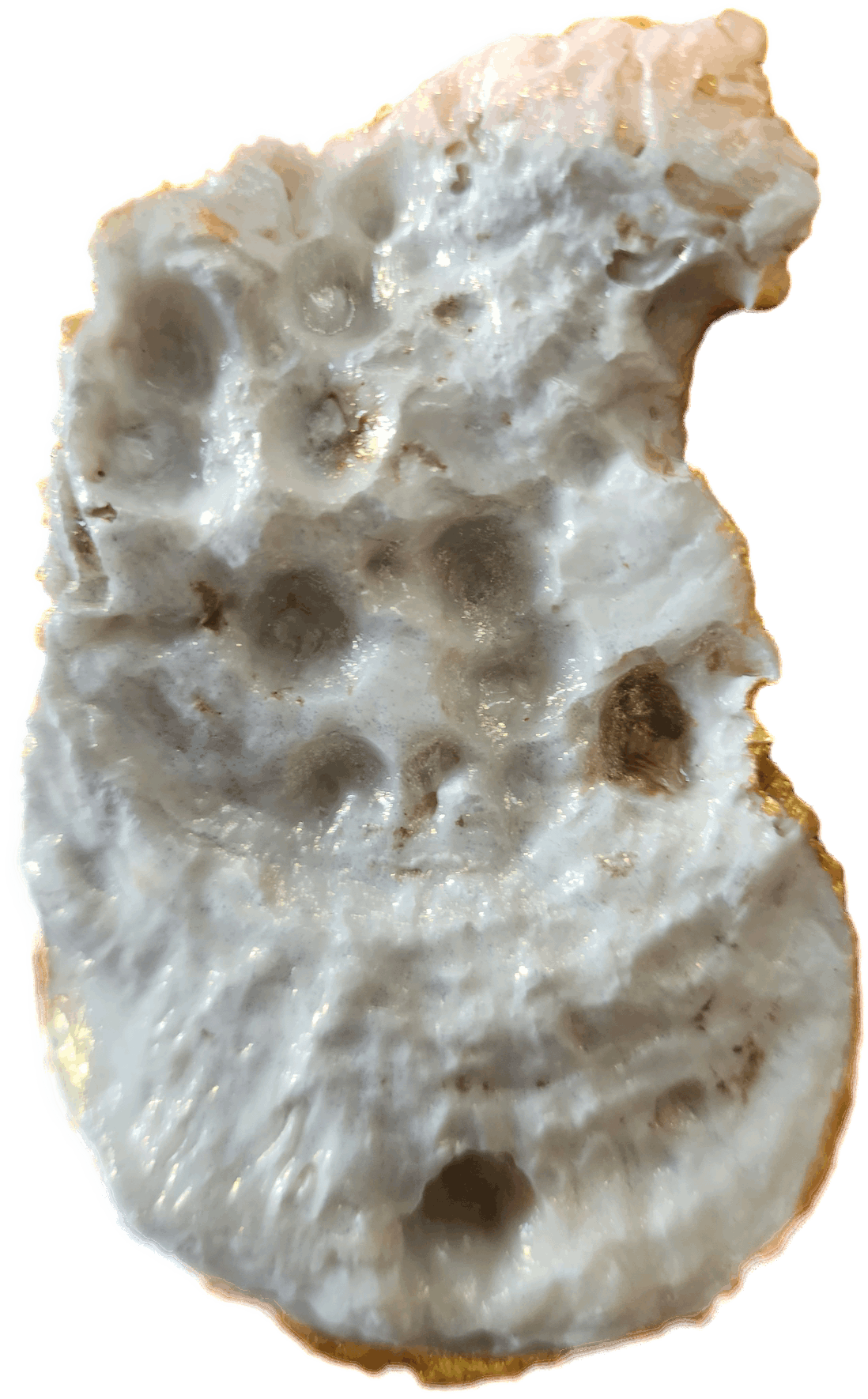 Fox with Butterfly Trinket Dish