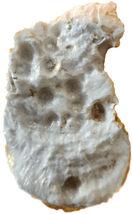 Fox with Butterfly Trinket Dish