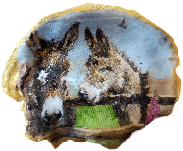 Donkey Oyster Shell Trinket Dish