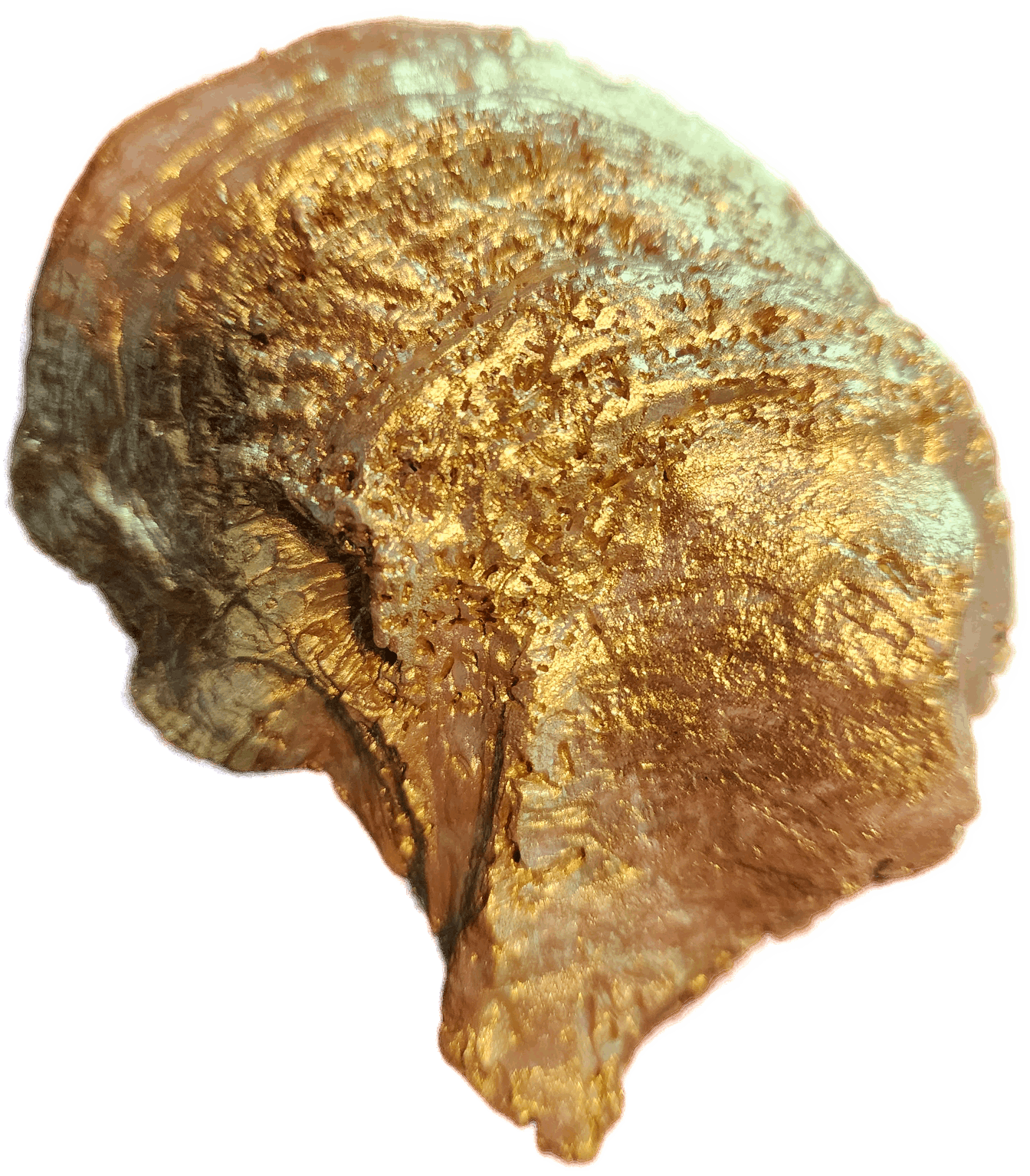 Camp Site Oyster Trinket Dish