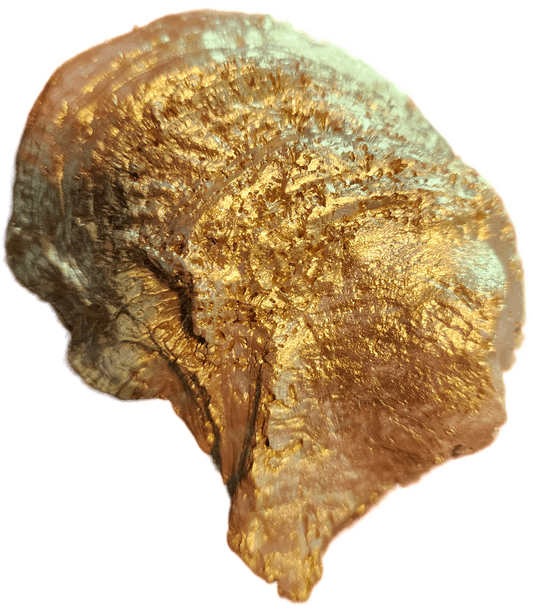 Camp Site Oyster Trinket Dish