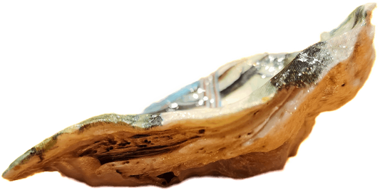 Camping Oyster Shell Trinket Dish