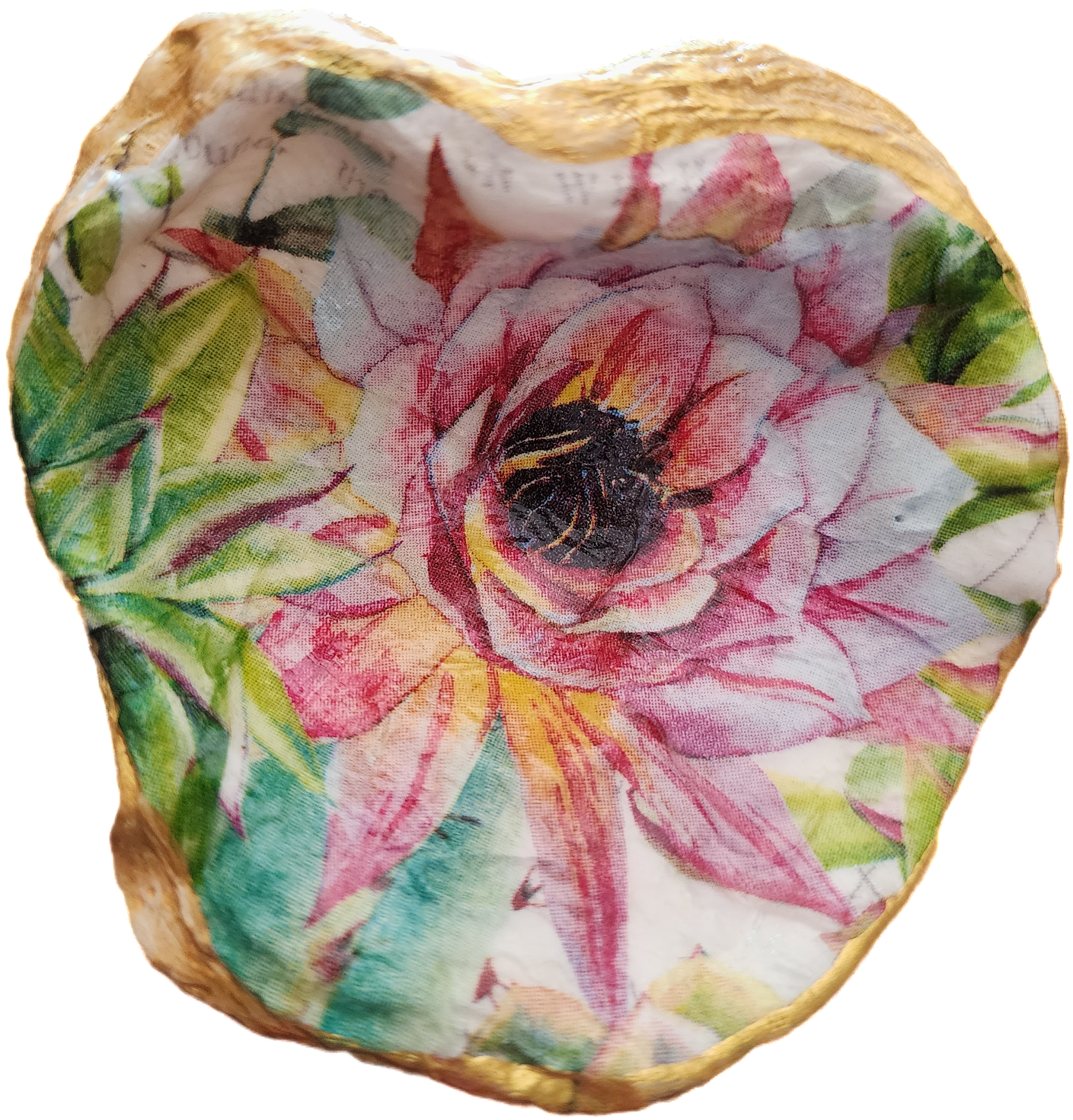 Water Lily Pink Flower Oyster Shell
