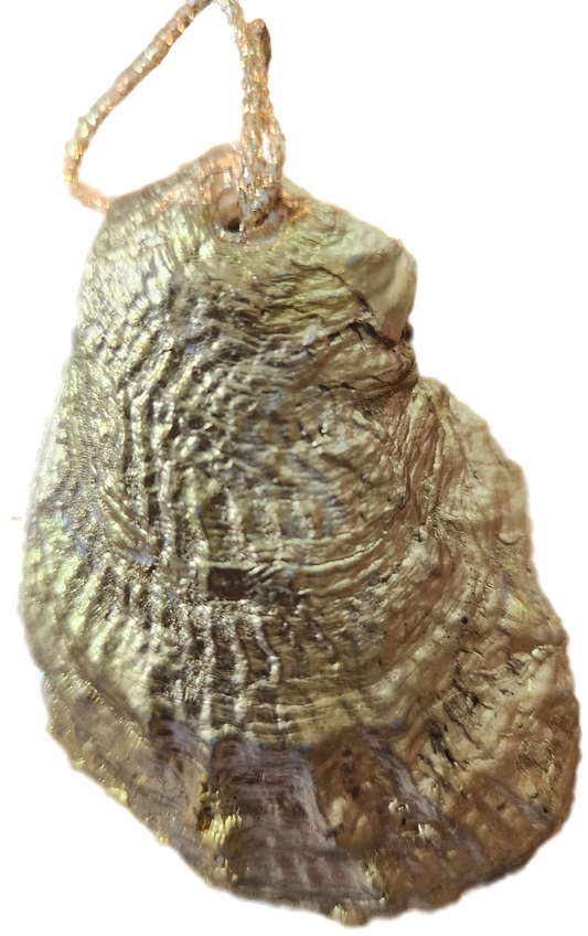 Jesus is the Reason for the Season Silver Ornament