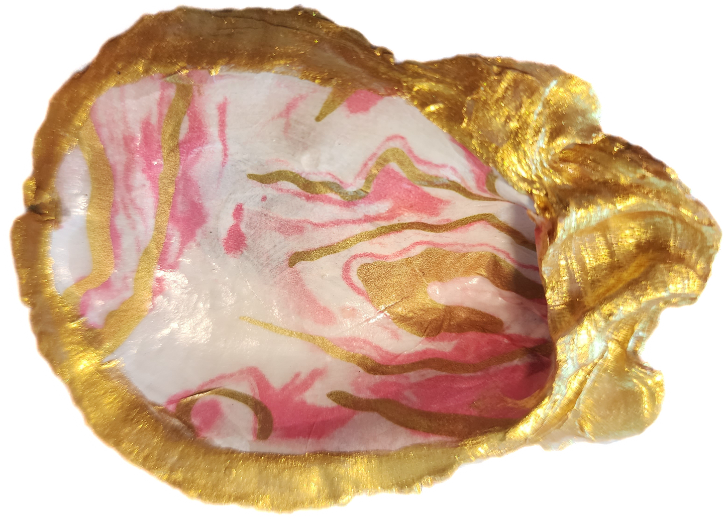 Swirl Oyster Shell