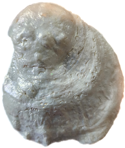 Woodland Deer Oyster Trinket Dish - SOLD