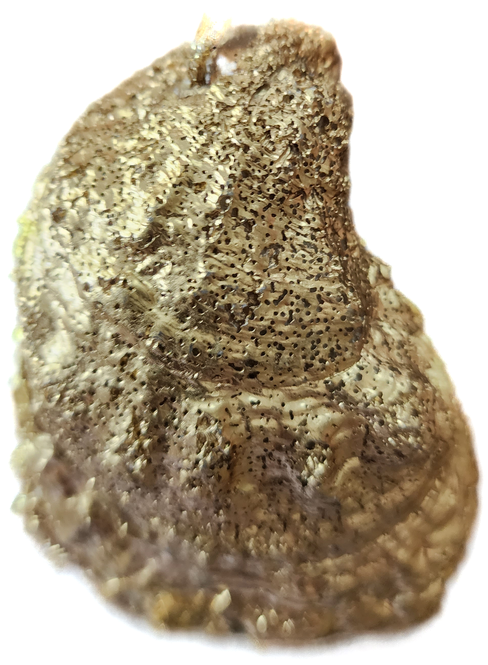 Red Pumpkin & Flowers Oyster Ornament