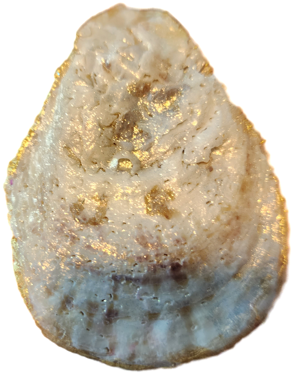Pumpkin Patch Oyster Shell