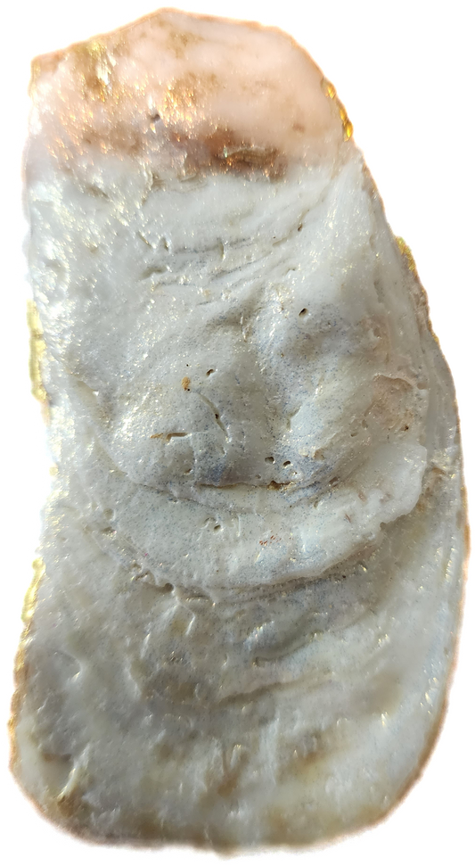 Pumpkins & Gourds Oyster Trinket Ornament