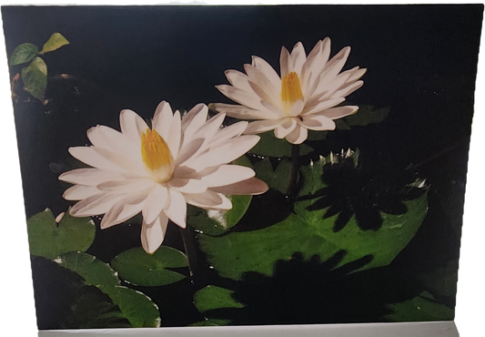 Water Lily Folded Tent Card