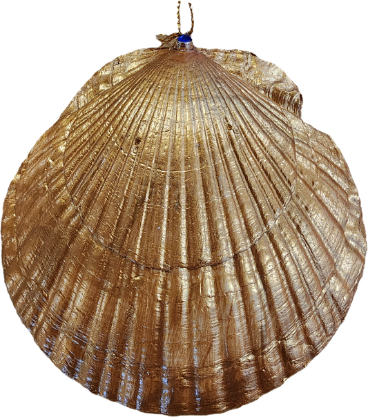 The Beach is Waiting clam shell ornament or trinket dish