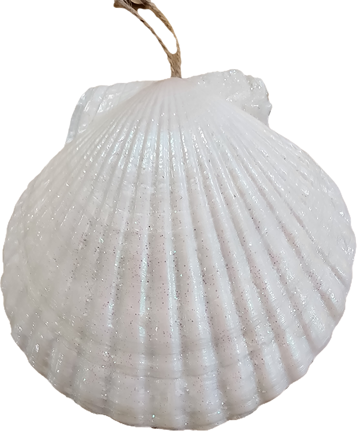 Skull with blue background