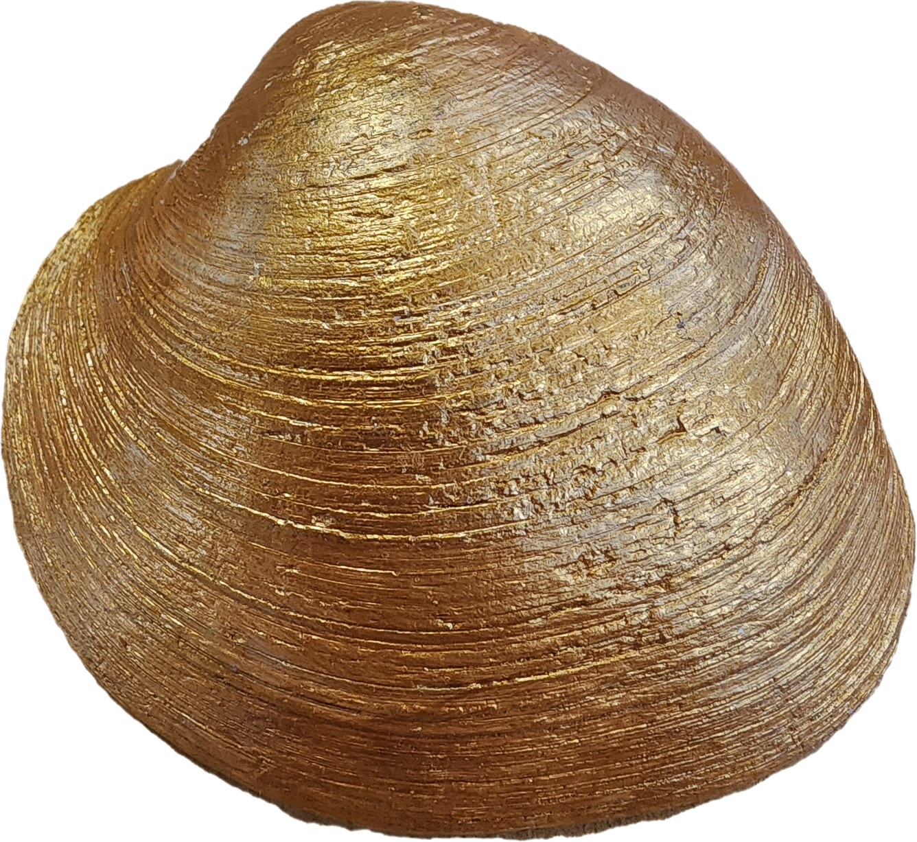 Blue Bird Trinket Dish/Soap Dish