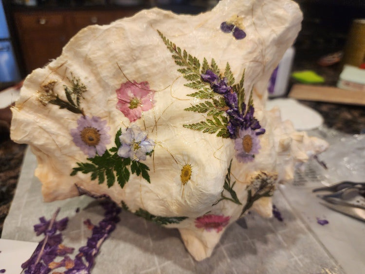 Decorated Conch Shells