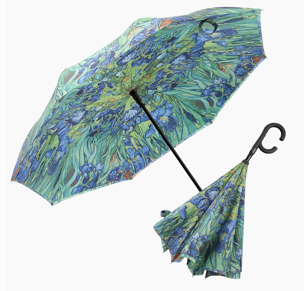 Fine Art Umbrellas