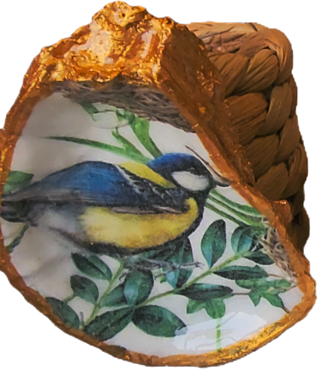 Oyster Shell Napkin Ring Sets