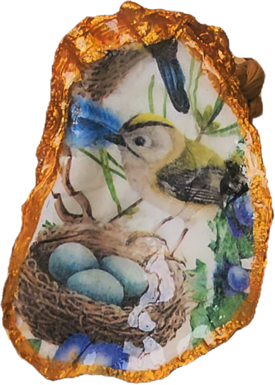 Oyster Shell Napkin Ring Sets