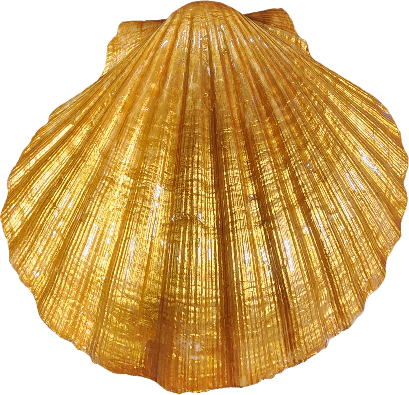 Peacock Clam Shell Trinket Dish