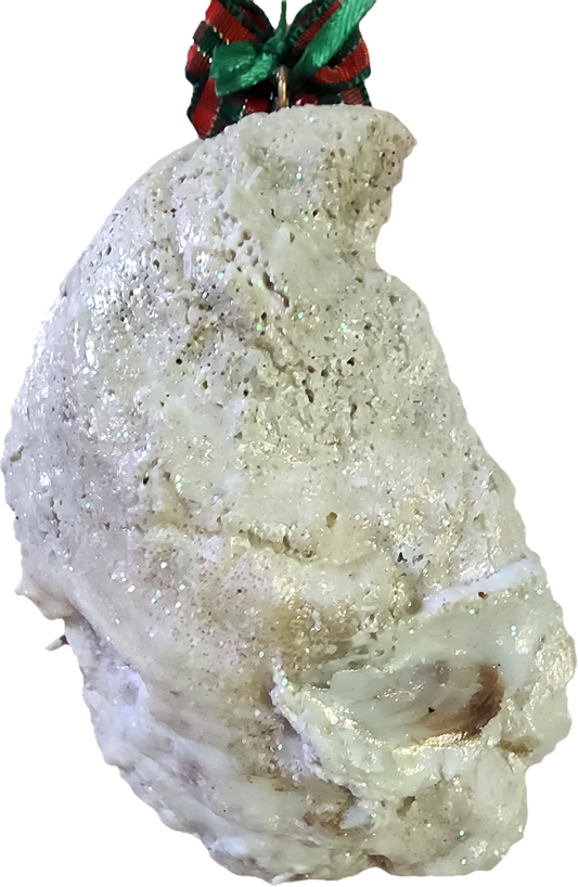 Christmas Sled Oyster Shell Ornament
