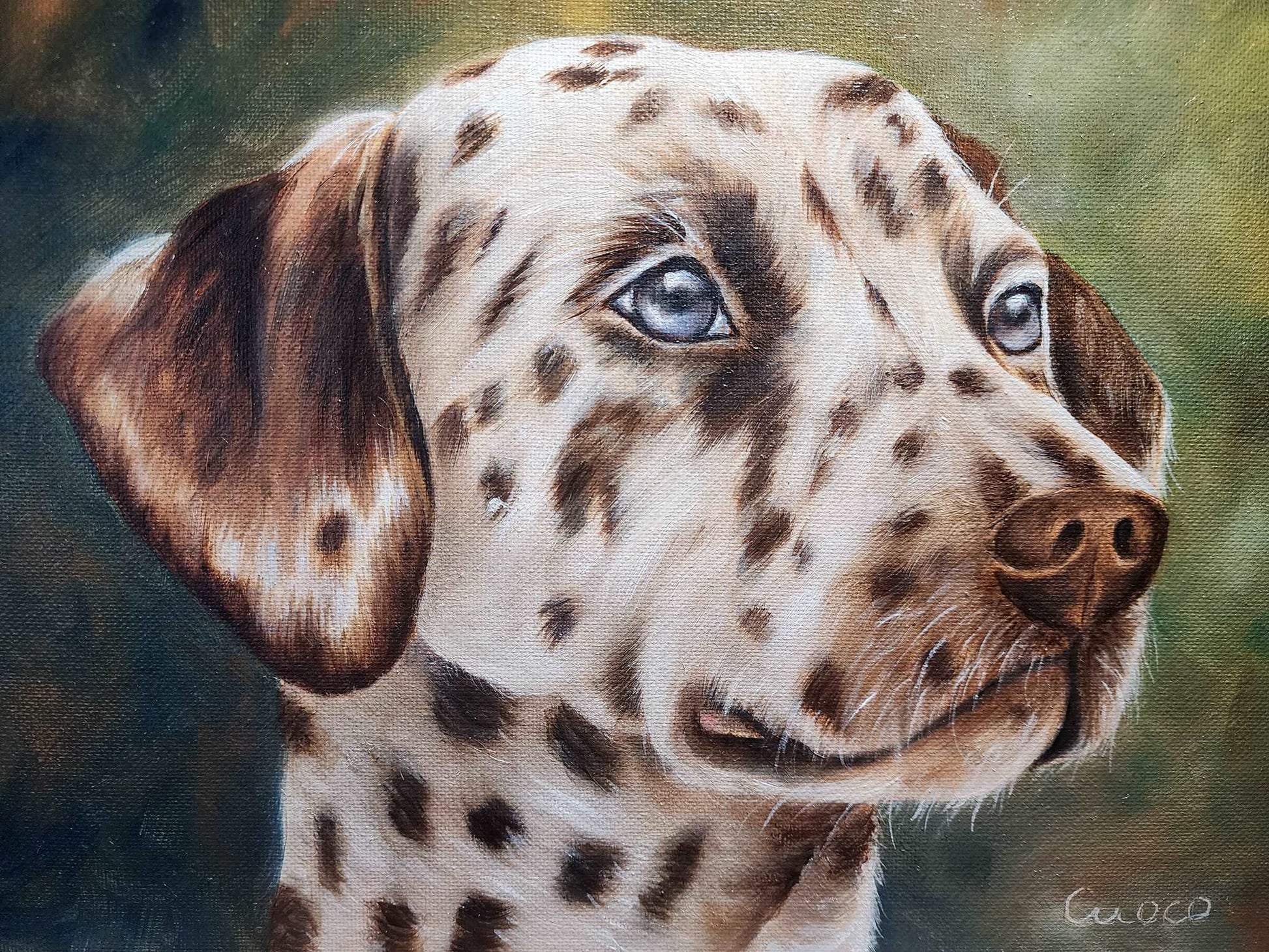 Dalmatian Commission