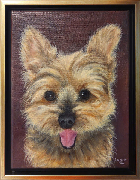 Harry the Yorkie, YORKSHIRE TERRIER, PET PORTRAITS, DOGS, PORTRAITS, OIL PAINTINGS