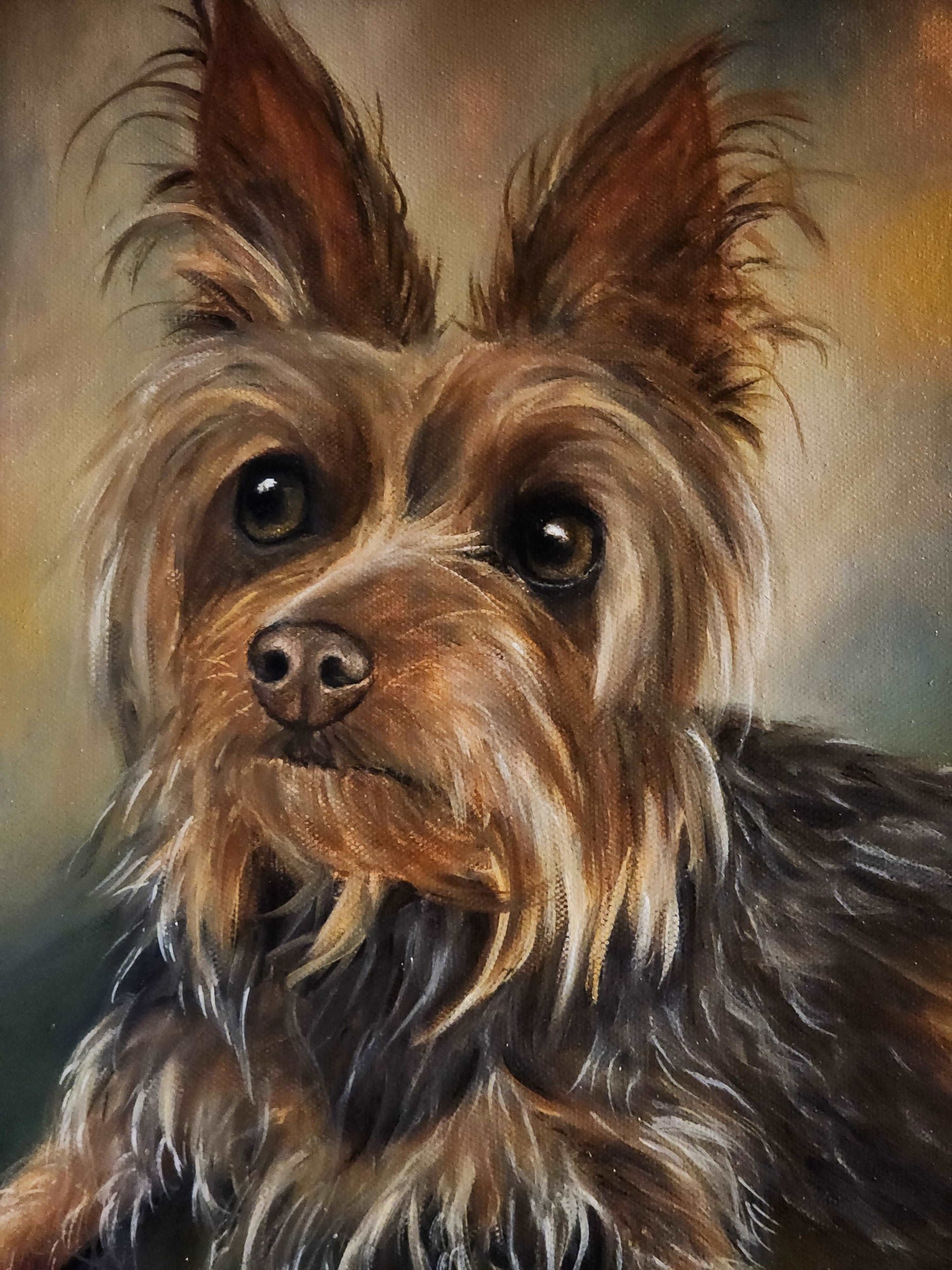 Hamilton the Yorkie