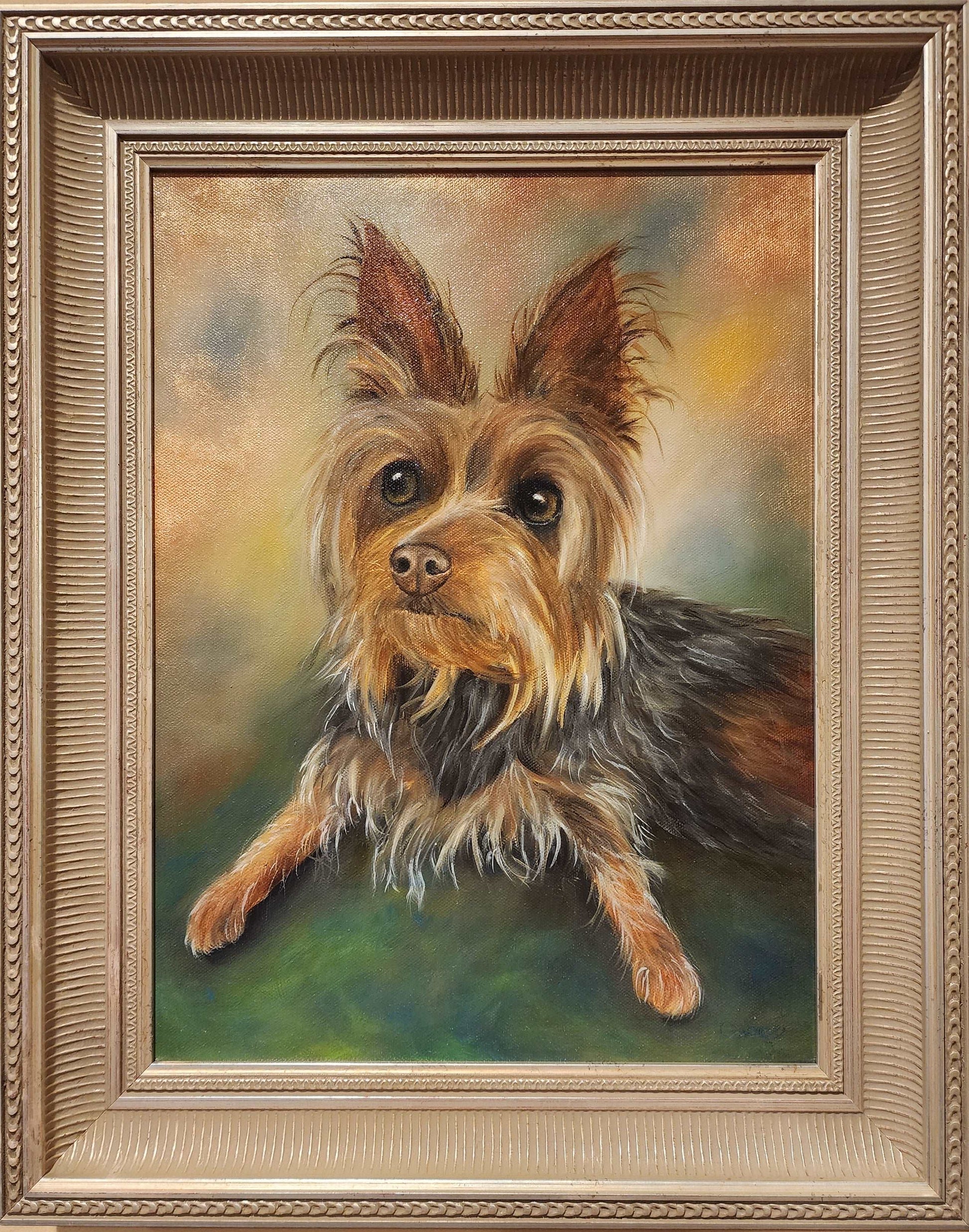 Hamilton the Yorkie