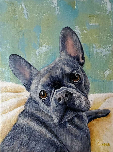 Commissioned Portrait of a French Bull Dog