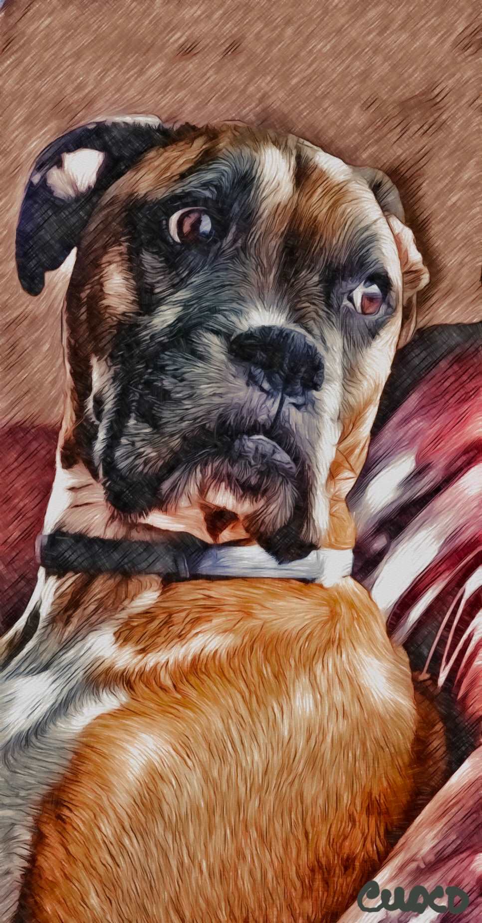 digital painting, digital artwork, artwork, dog portrait commission, Boxers, gifts, memorialize, artwork