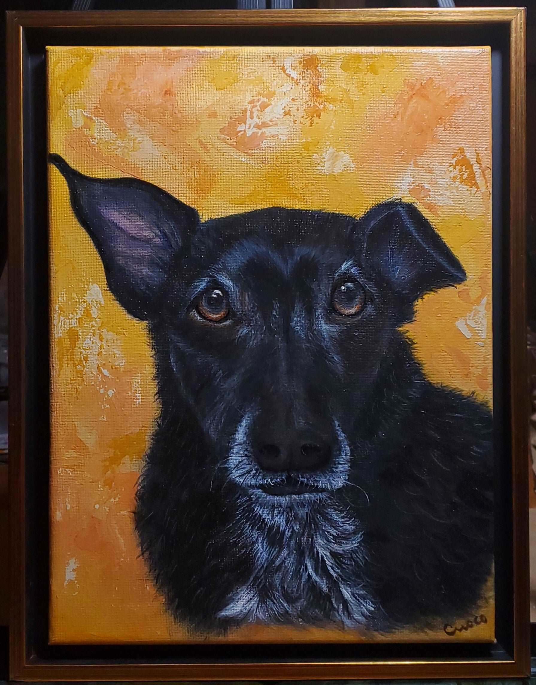 Commissioned Dog Portrait of Stanley - Mixed Breed