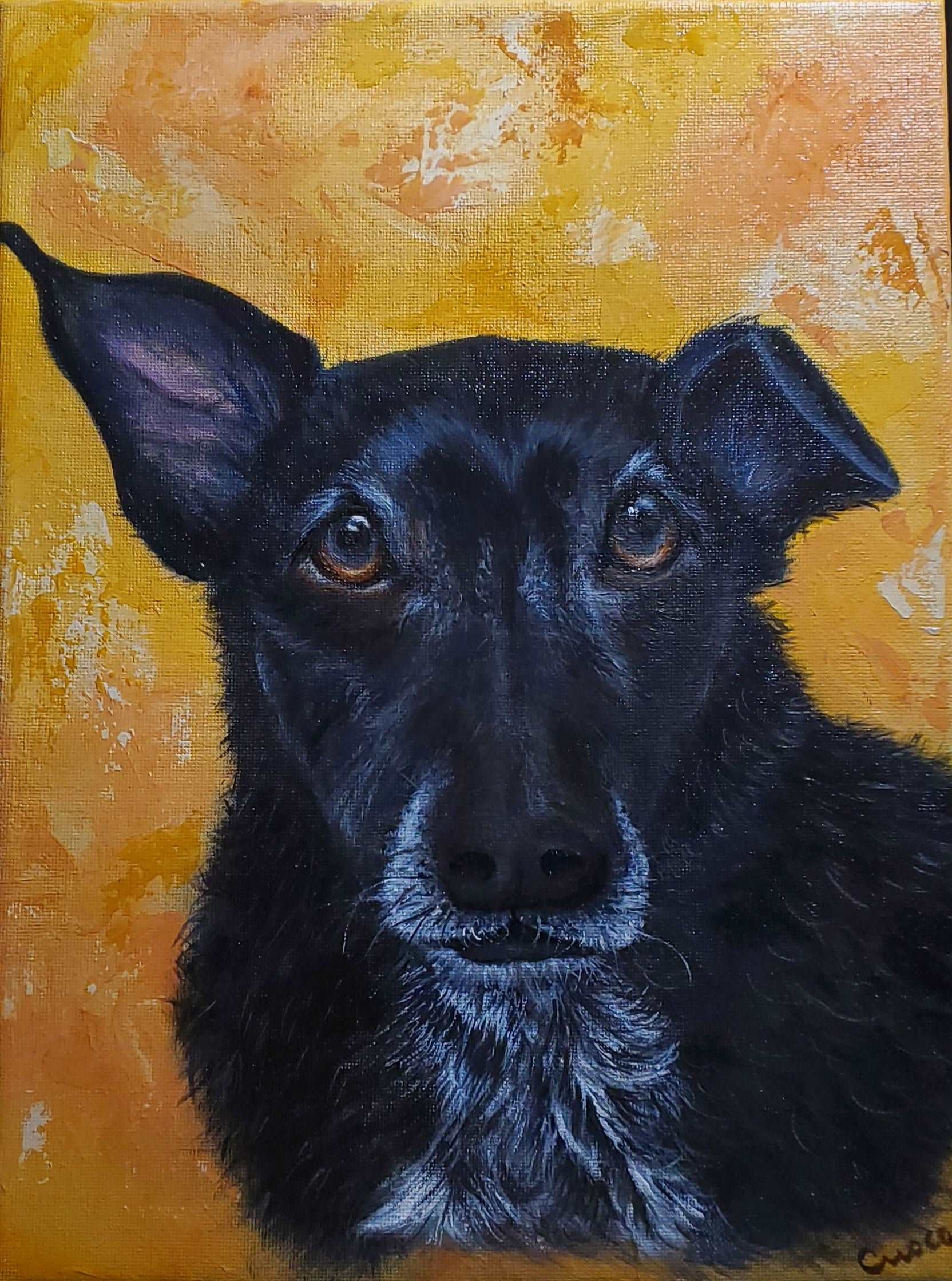 Commissioned Dog Portrait of Stanley - Mixed Breed