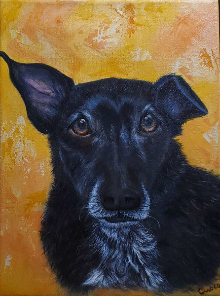 Commissioned Dog Portrait of Stanley - Mixed Breed