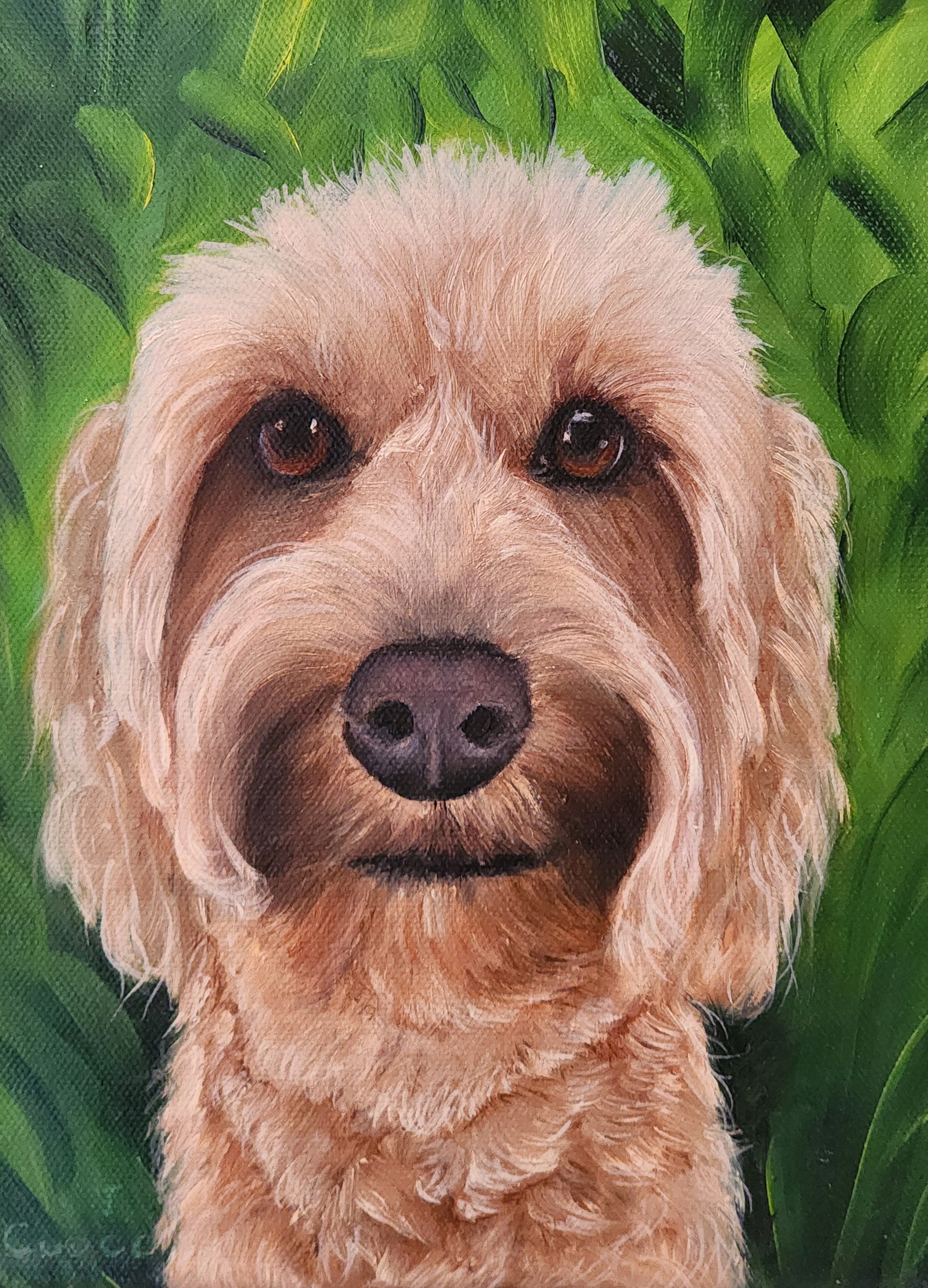 Realistic painting of a fluffy beige dog against a green background, showcasing fine details and expressive eyes.  Oil painting commission by artist, Nancy Cuoco.