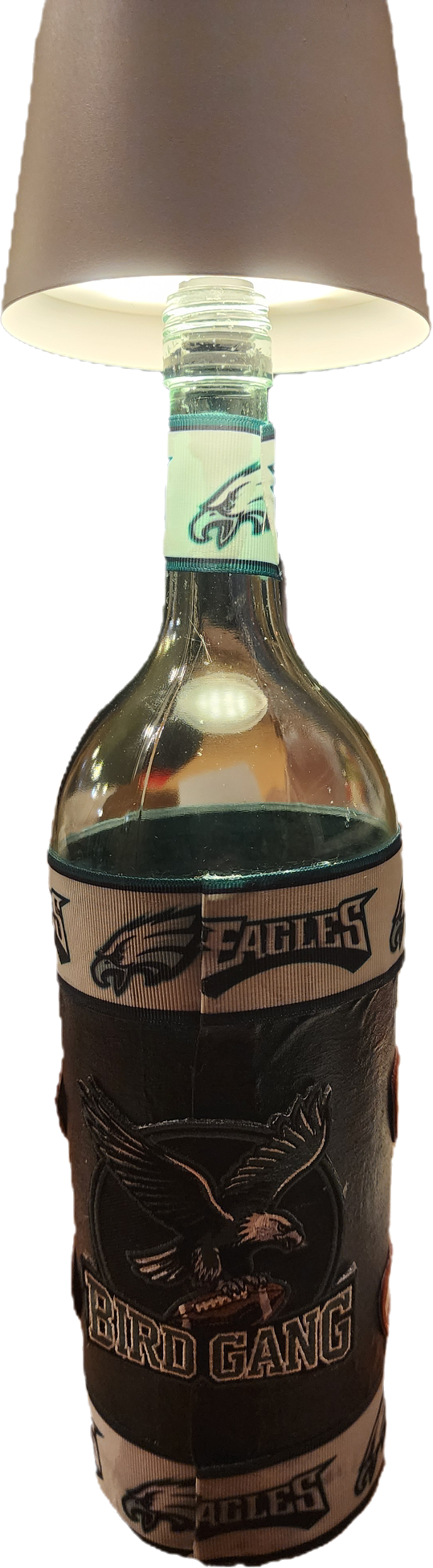 Philadelphia Eagles Sport Bottle Lamp