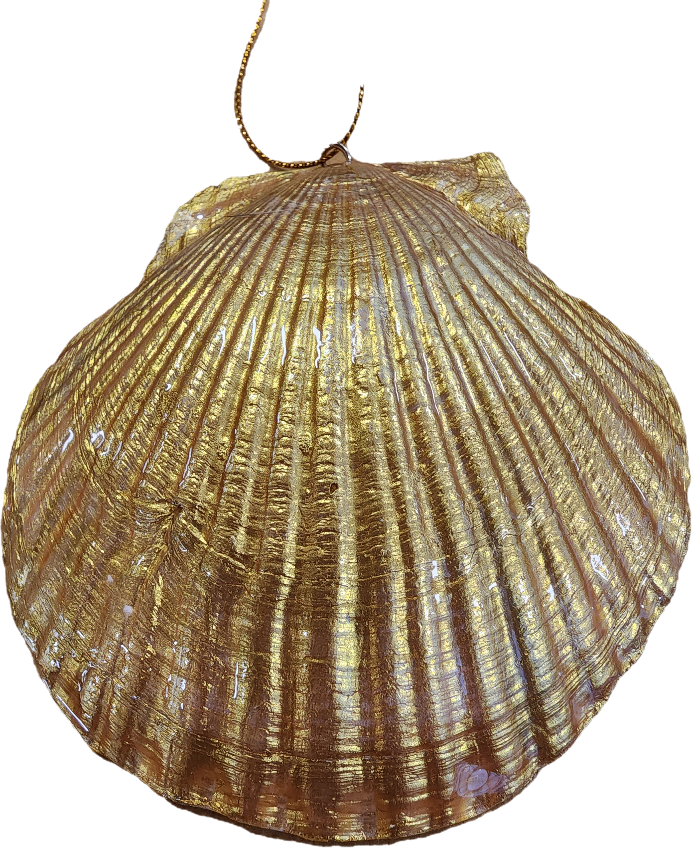 Beach is My Happy Place