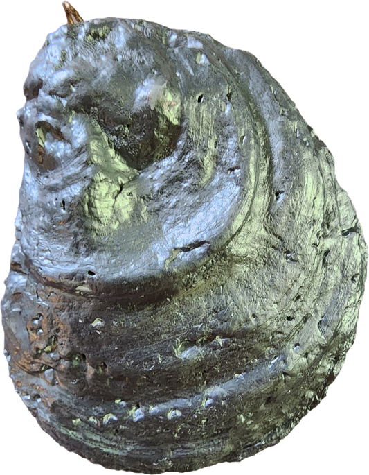 Santa and Snowman Oyster Shell Ornament - SOLD