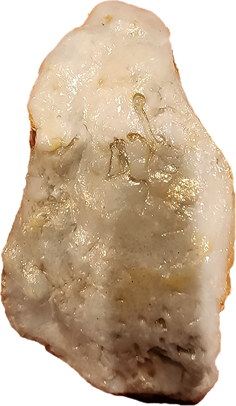 Daisy Patch Oyster Shell Ornament