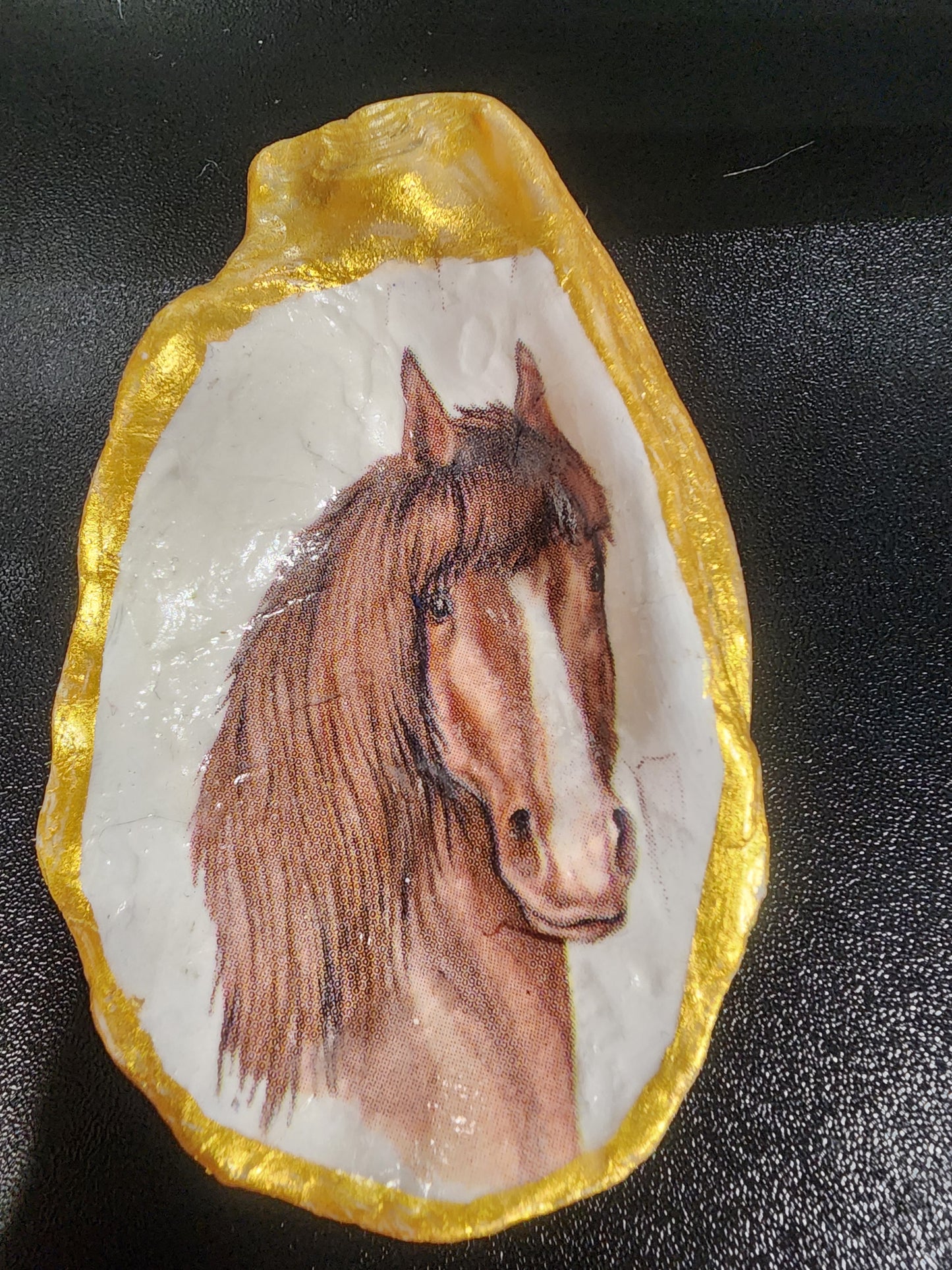 Brown Horse Oyster Shell