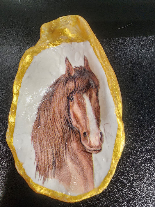 Brown Horse Oyster Shell