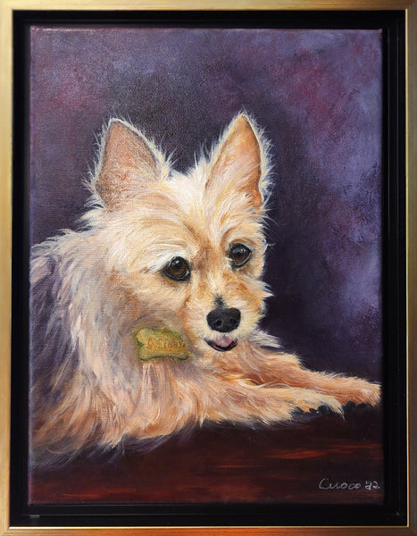 Sally the Yorkie - SOLD